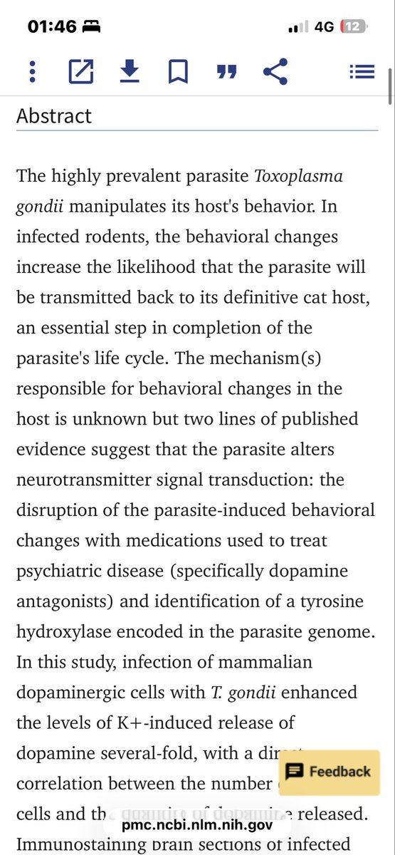Farving🙆⭐️ tweet media