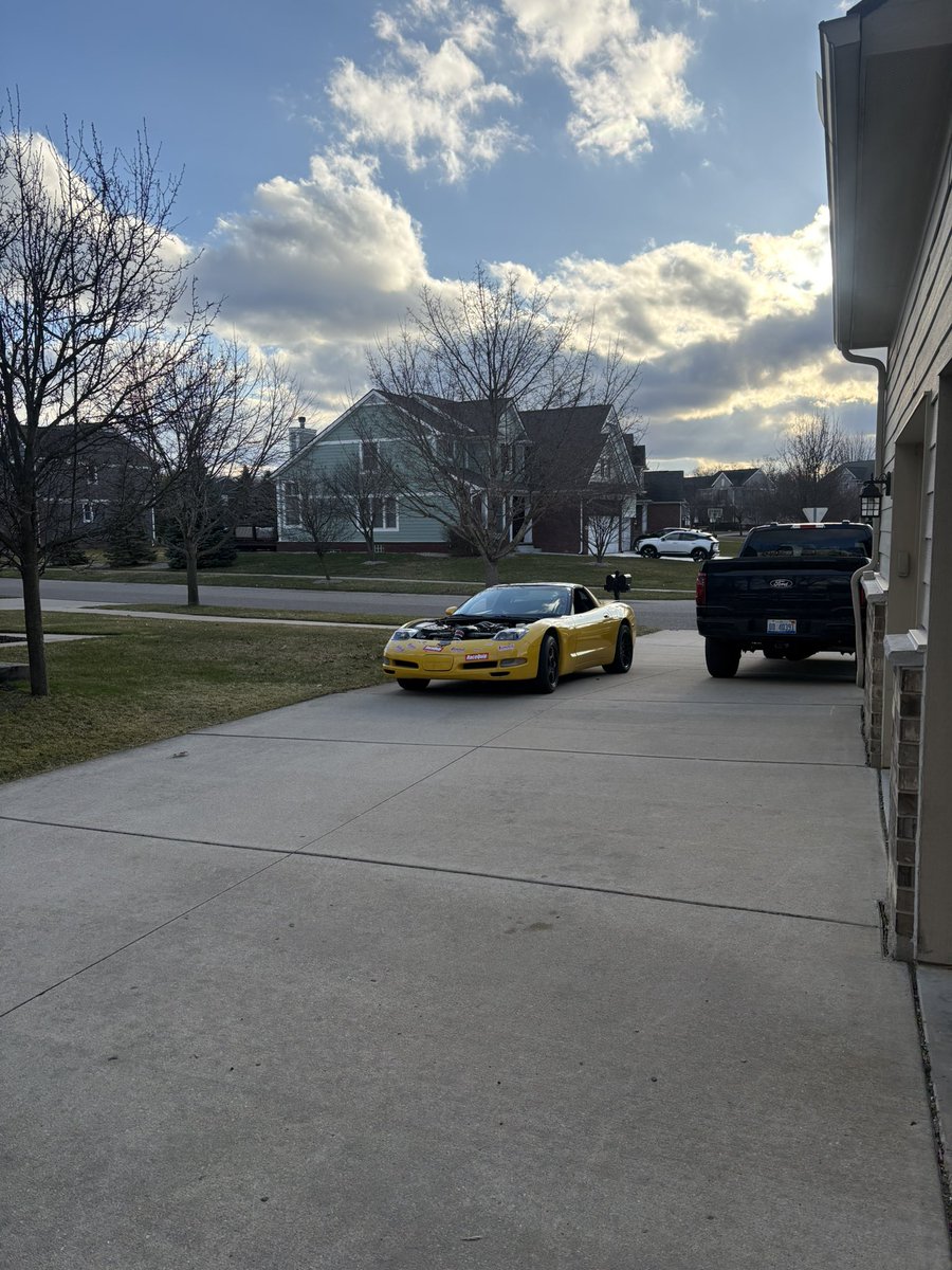 dumbfrogs.com tweet media