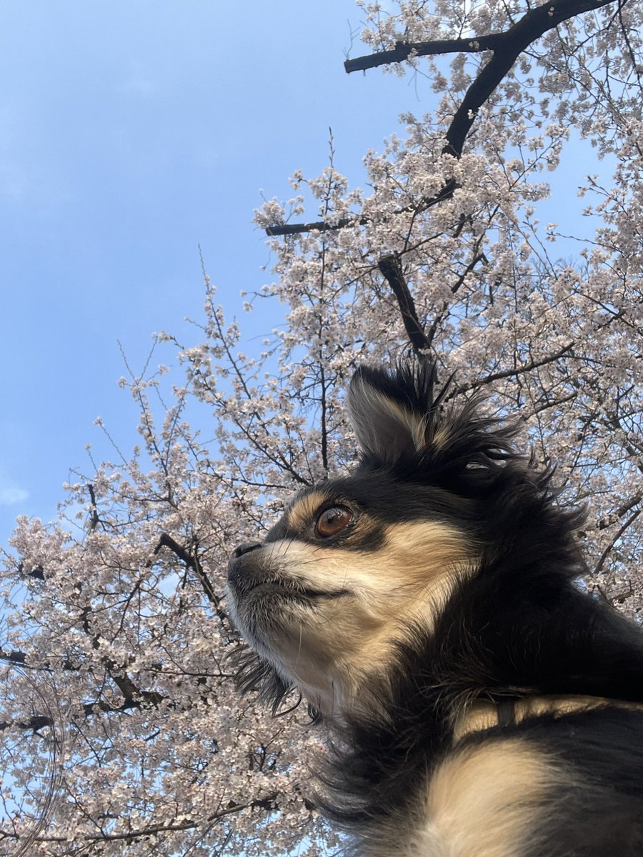 下川みくに³⁹² tweet media