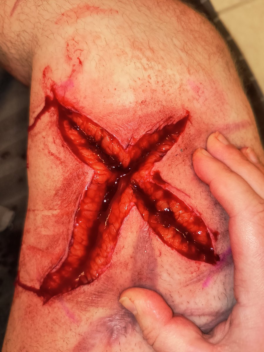 Bigger Fishes 𓆝 𓆟 𓆞 (-17.2/56 lbs) tweet media