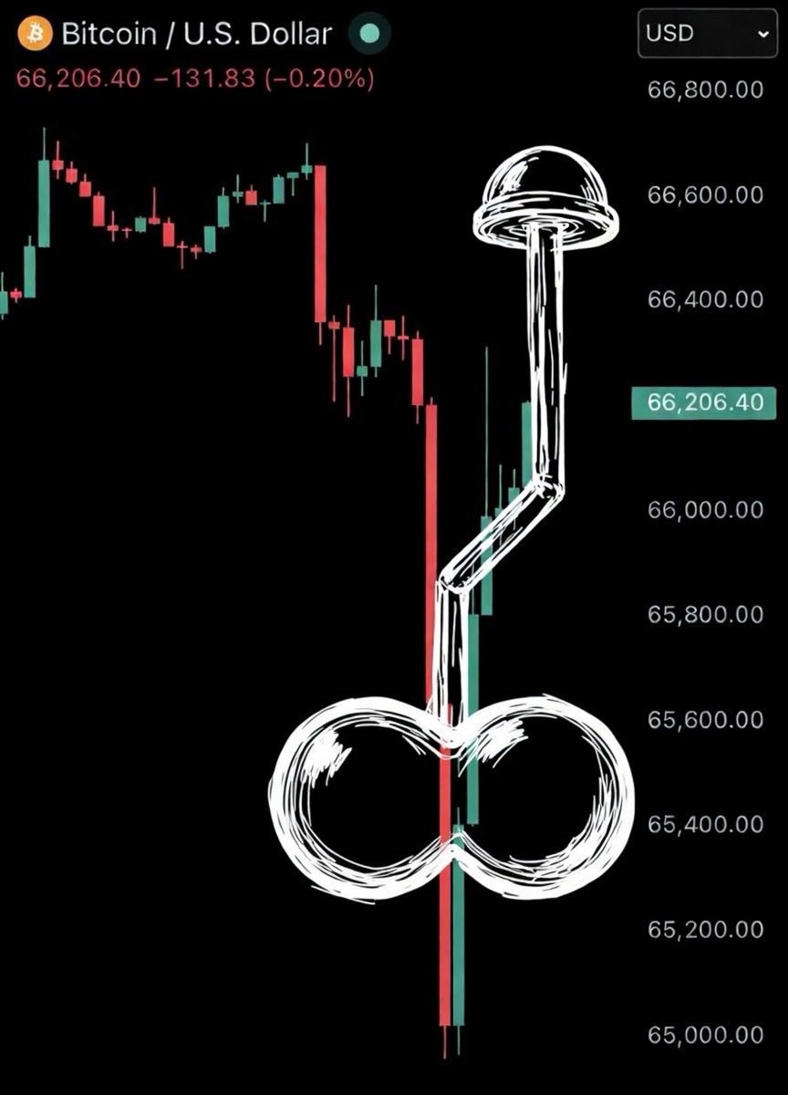 PresidentNoble_'s tweet image. That’s the Mushroom Wiener, very bullish