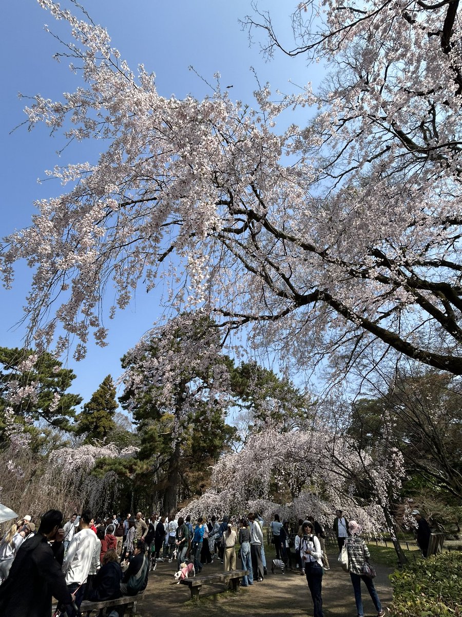 田中 健二 tweet media