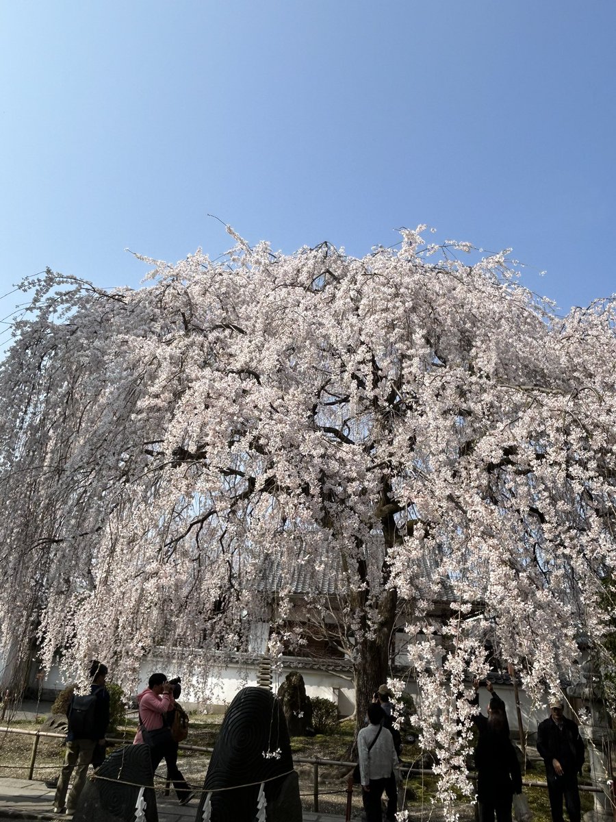 田中 健二 tweet media