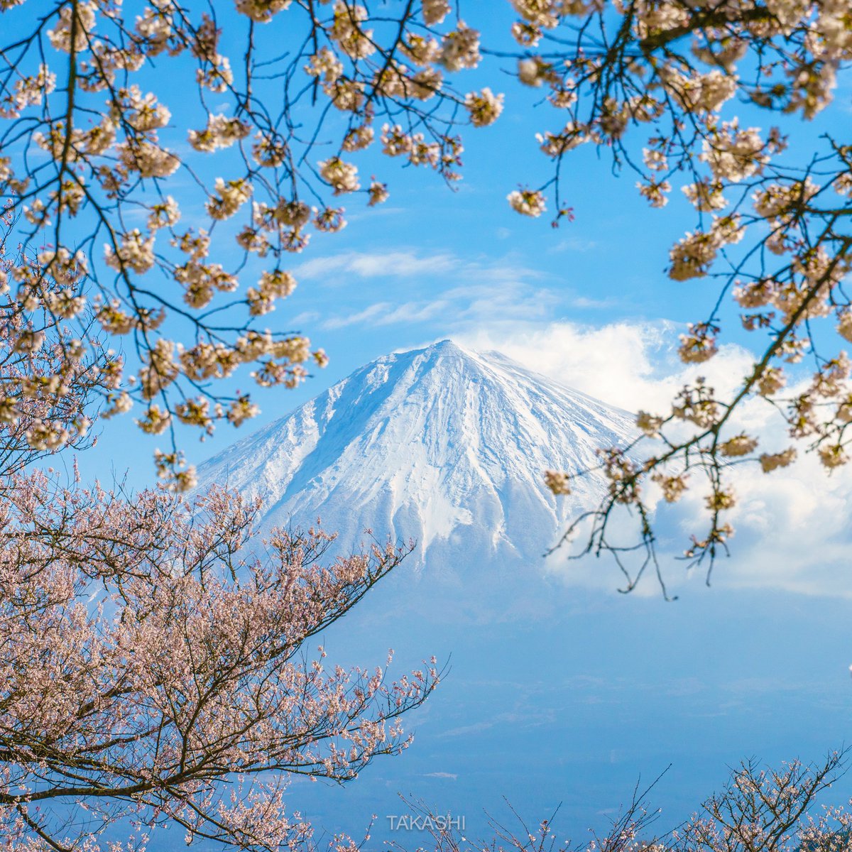 TAKASHI｜富士山｜TAKASHI-ArtFuji tweet media