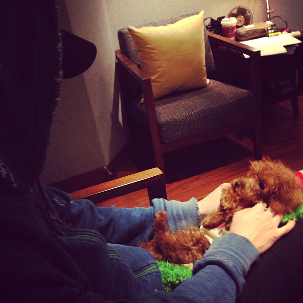 130406 - key's instagram update
taemin loves commedes ! :-)