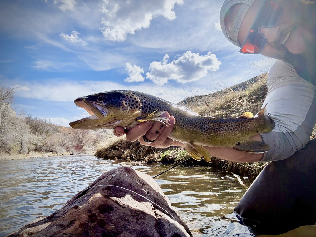 Tanner Mertlich tweet media