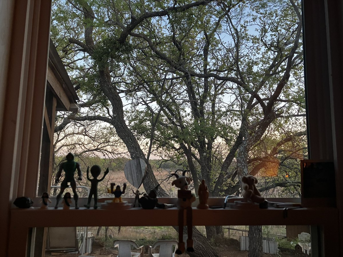 Daniel Markham tweet media