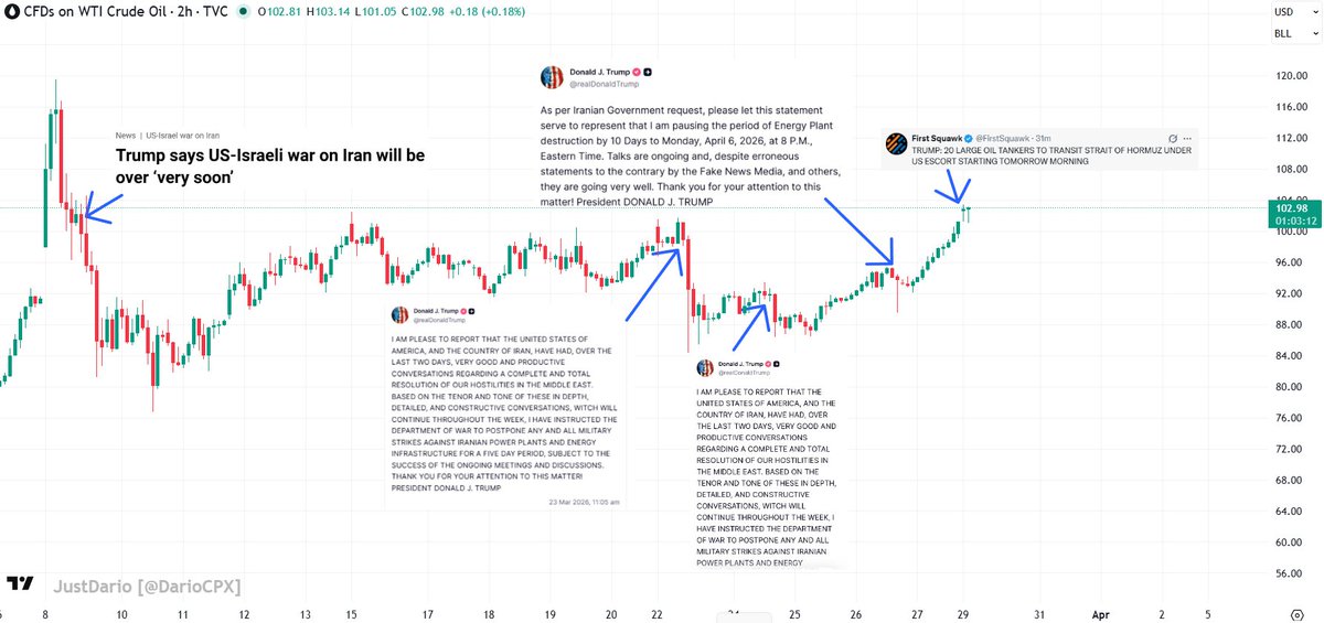 JustDario 🏊♂️ tweet media