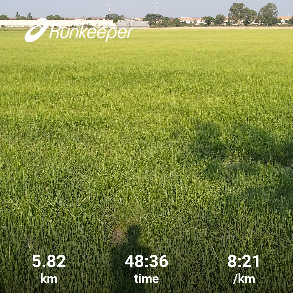 Recovery สบายๆ เช้าแค่ไหนก็ยังร้อน🥵