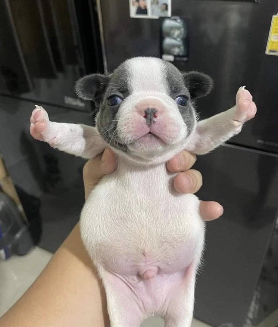 Celleste tweet media