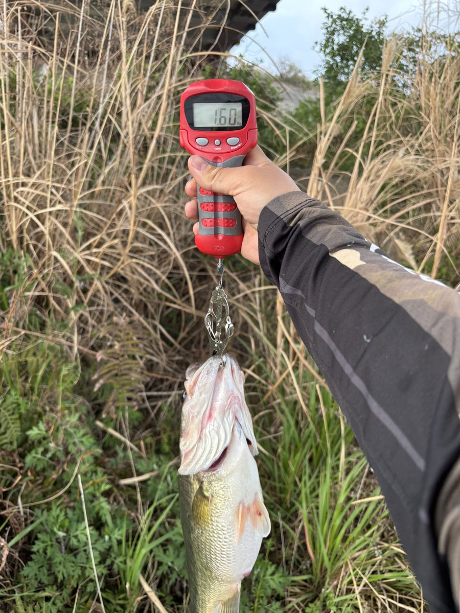 しょうた tweet media