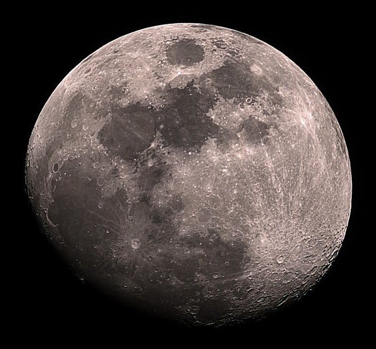 Daniel Harbin tweet media