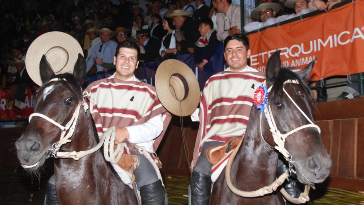 Cooperativa tweet media