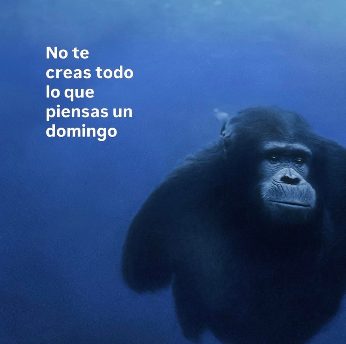 vampiro emocional (@misputaspoesias) on Twitter photo 