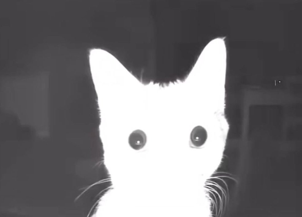 bia 𝜗𝜚 tweet media