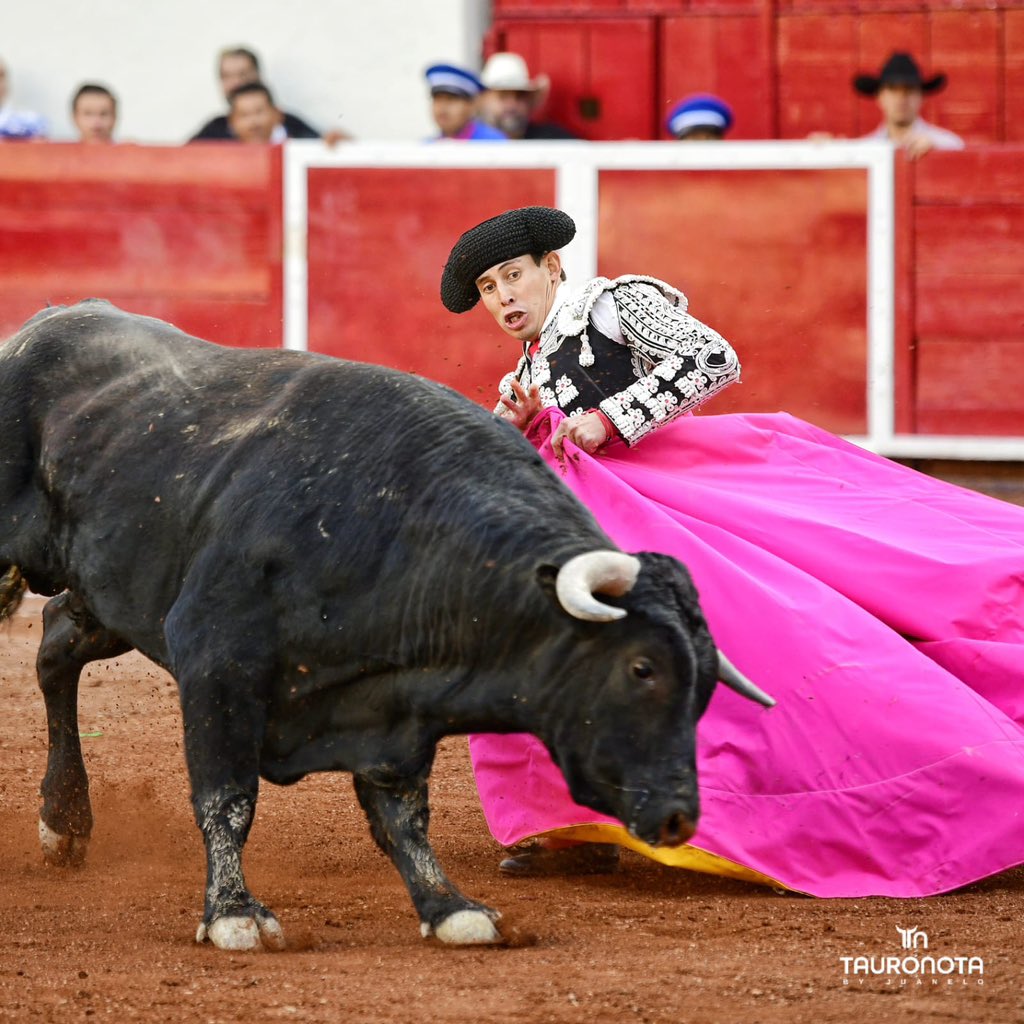 Dimensión Taurina By Tauro Nota tweet media