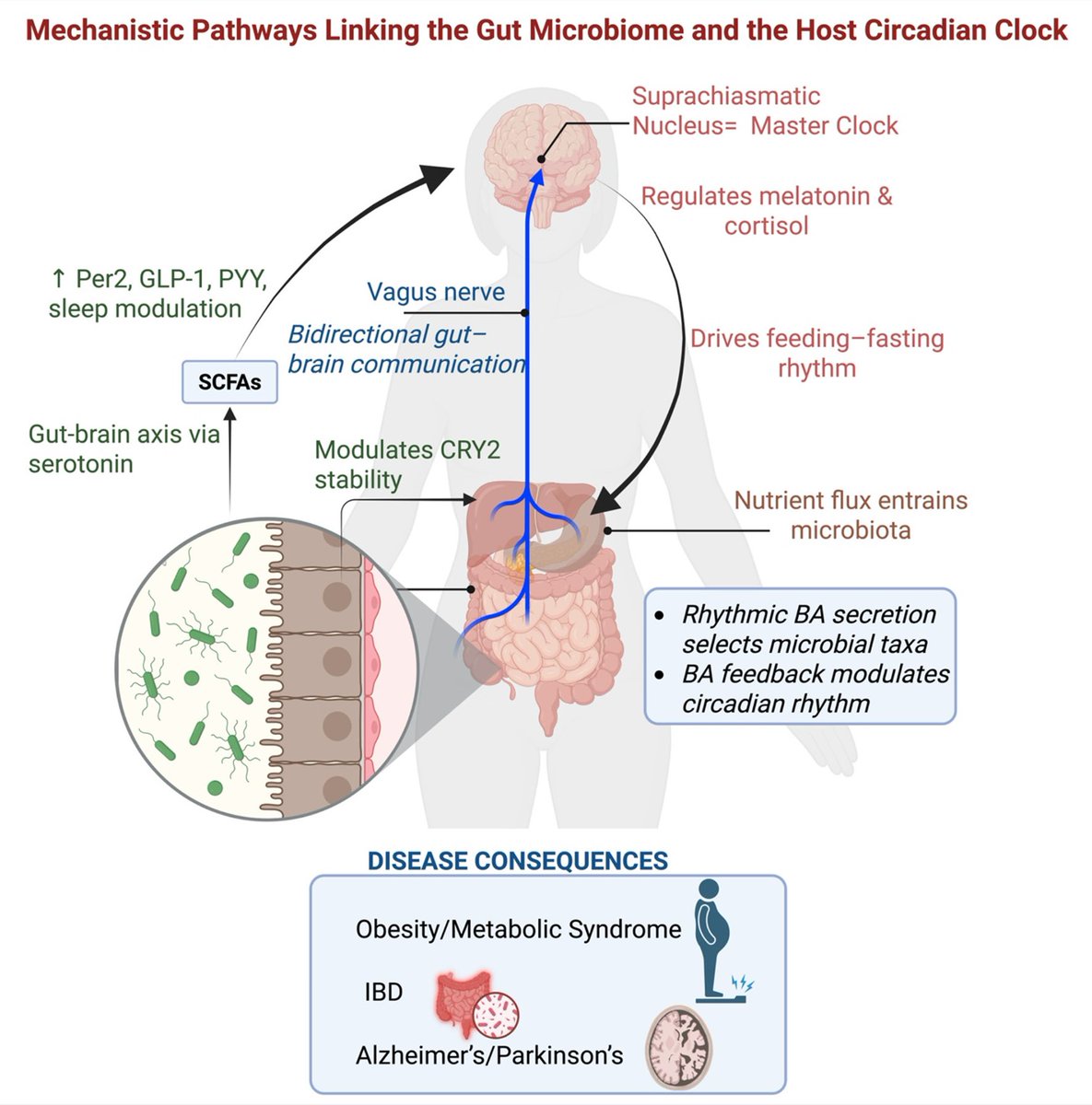 Abud Bakri MD tweet media