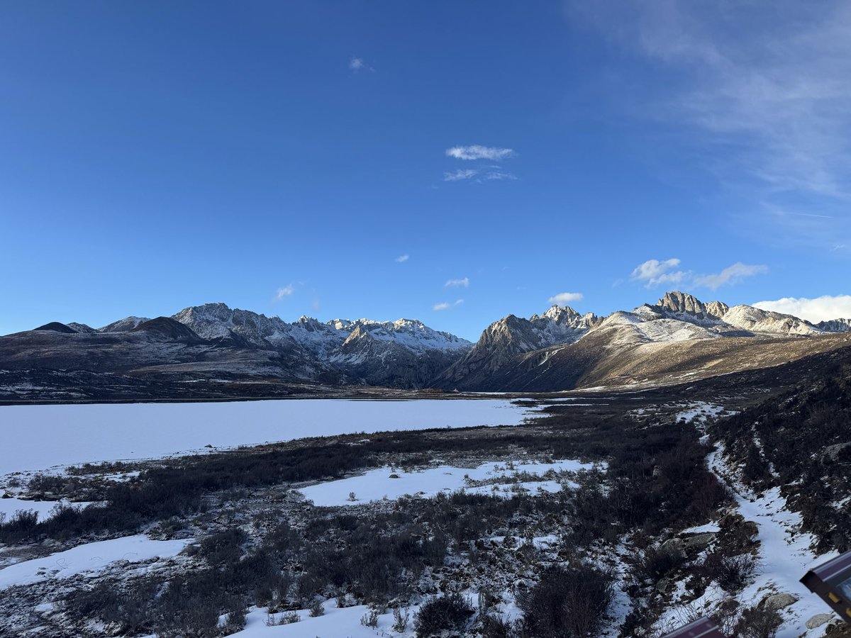 Liberty Cats 誌存高遠猫 tweet media