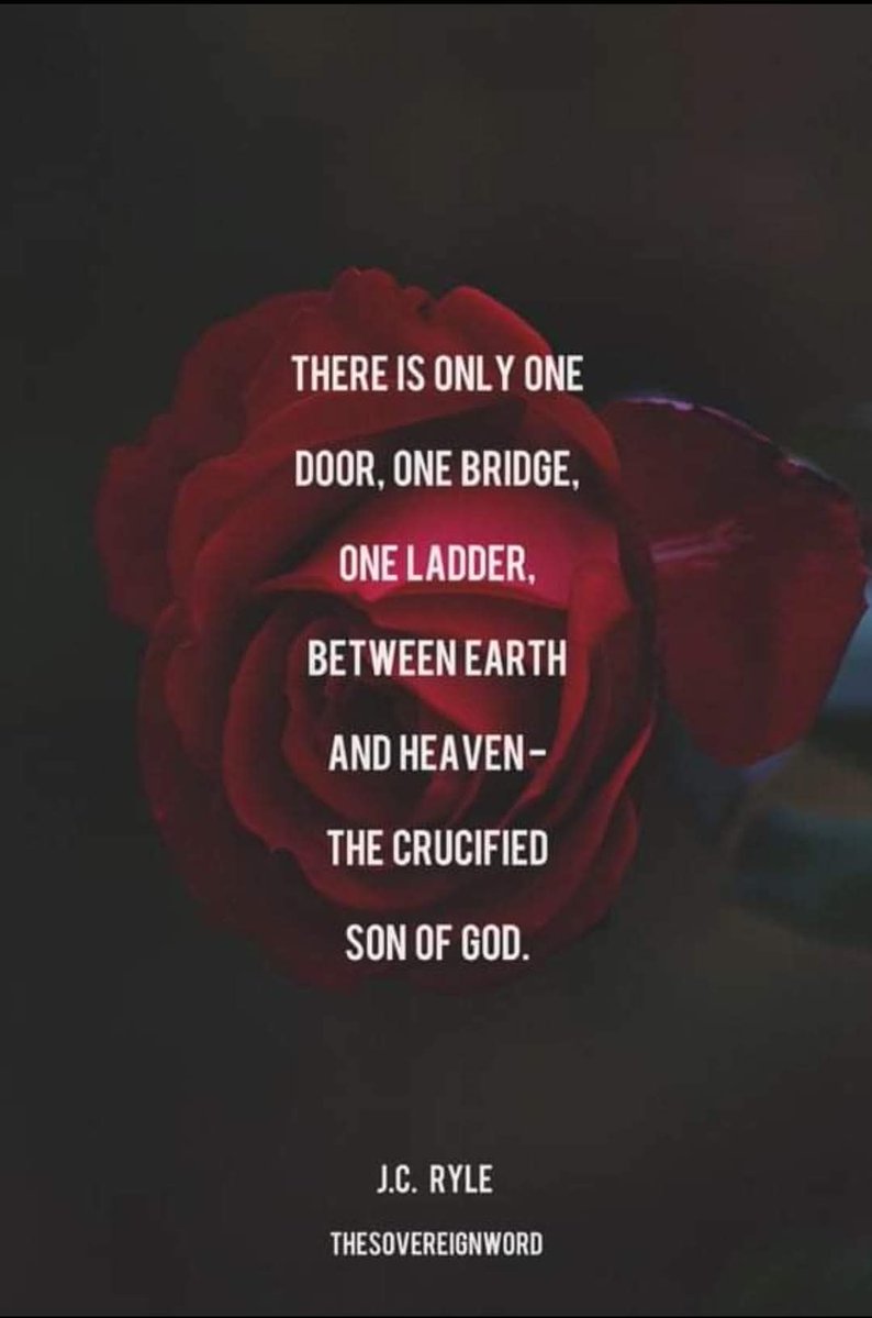 The Christian Walk tweet media