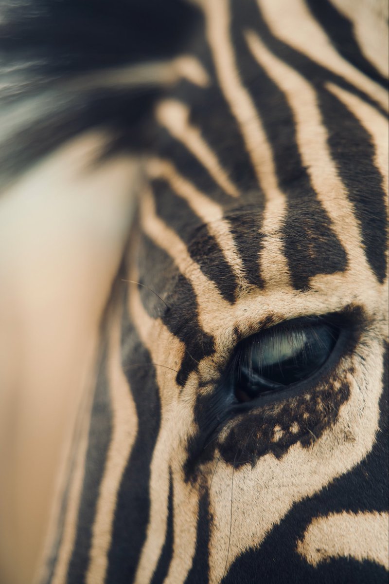 Cliff Gray tweet media