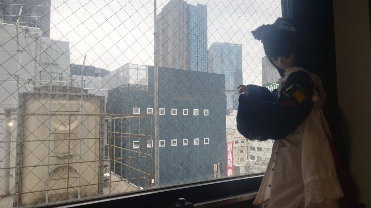 雪蛇虚 tweet media