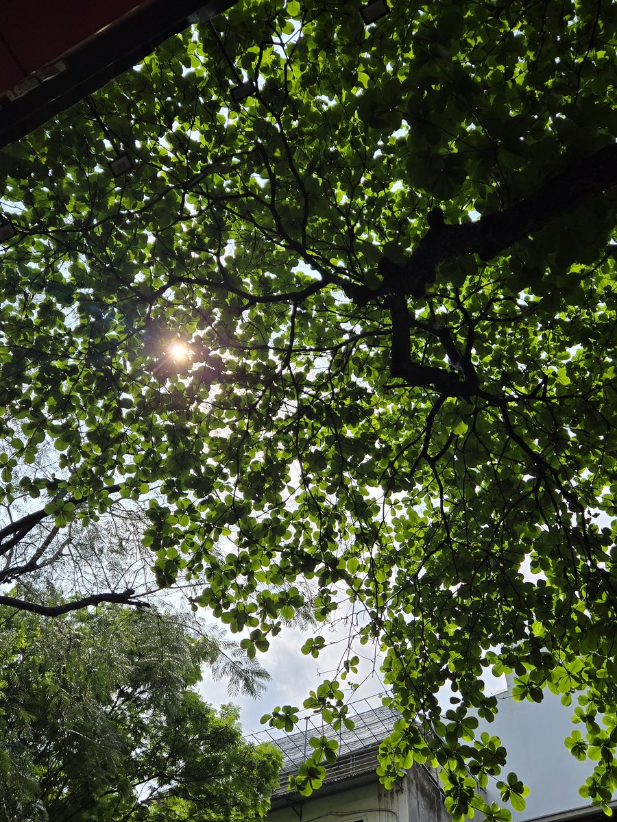 Trang Tran | Annie tweet media