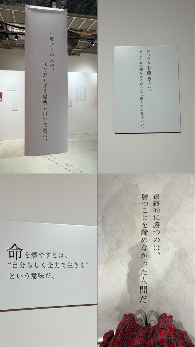 ねこちゃん tweet media