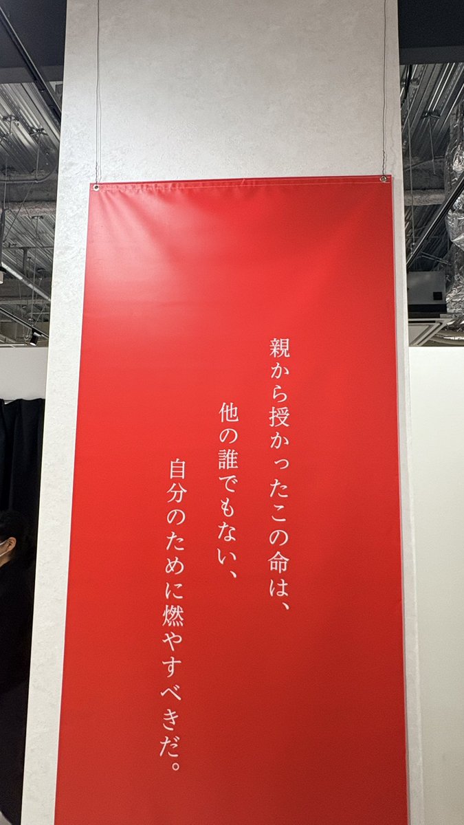 ねこちゃん tweet media