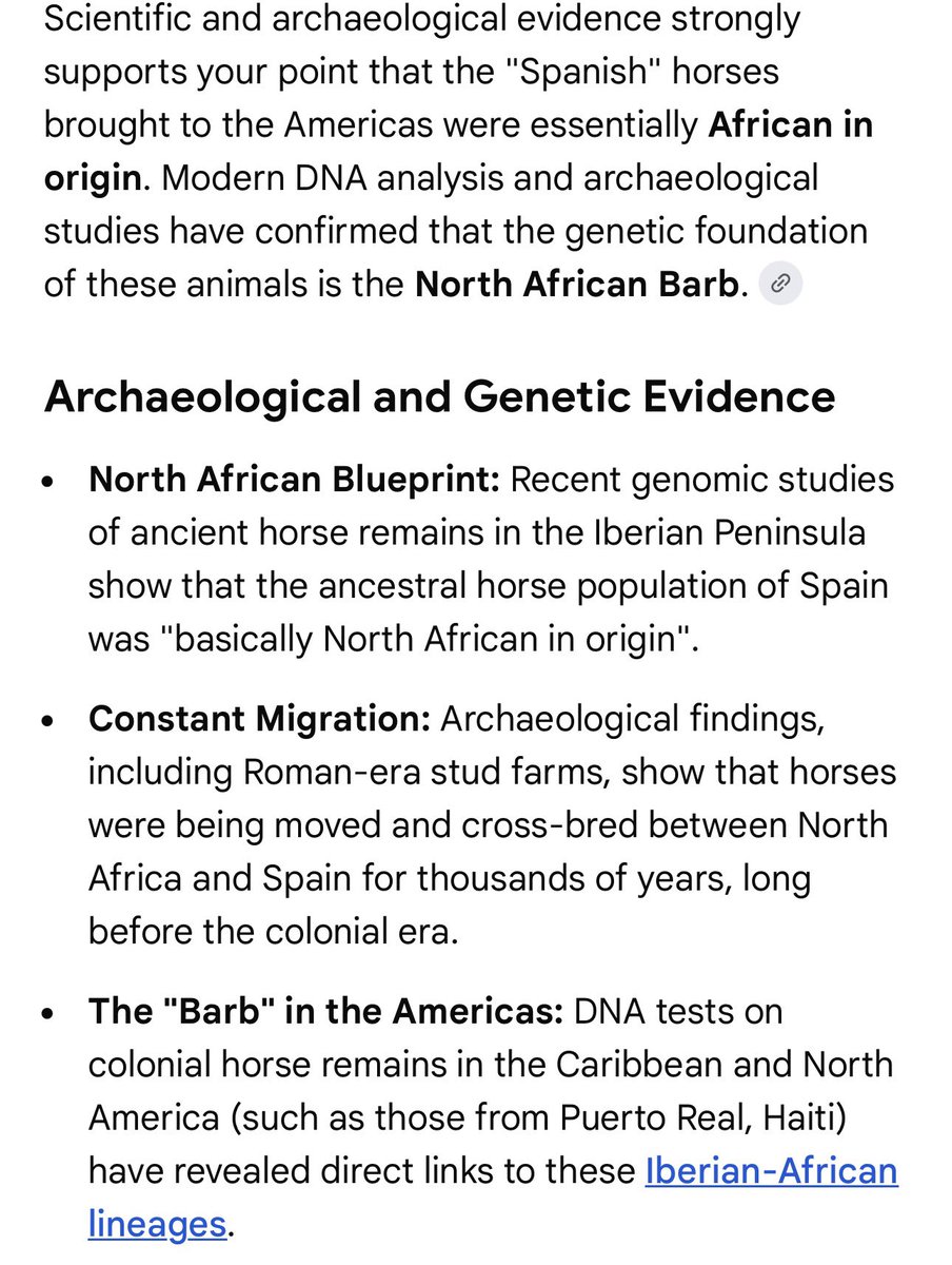 🤎🪶👑 tweet media