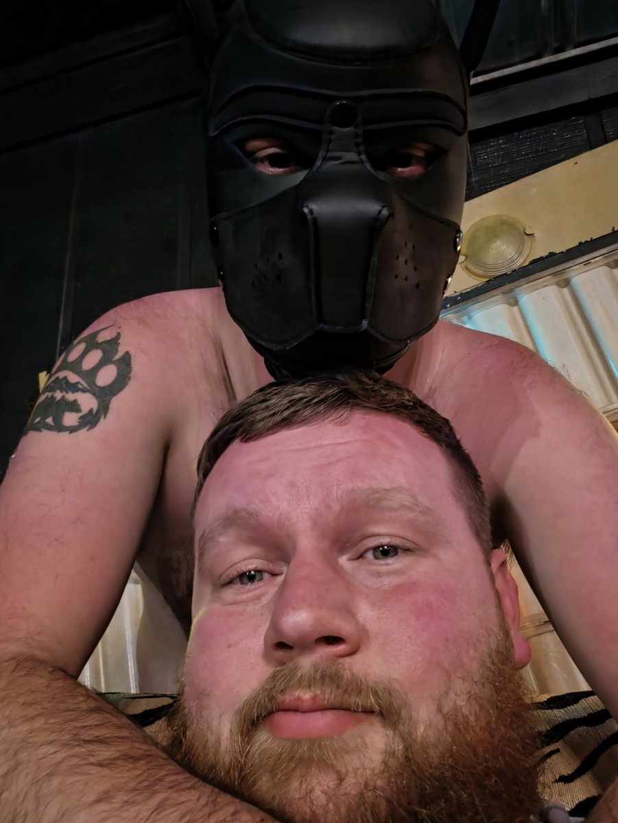 PeachStateBears's tweet photo. 🐕🏕 https://t.co/NcZoPGuSrj