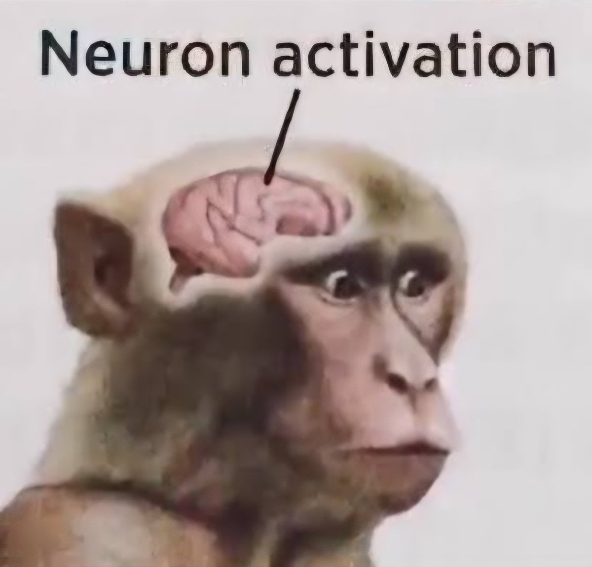 Ultramarine tweet media