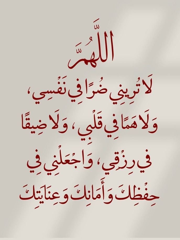 🇩🇿جزائرية حرة🇩🇿 tweet media