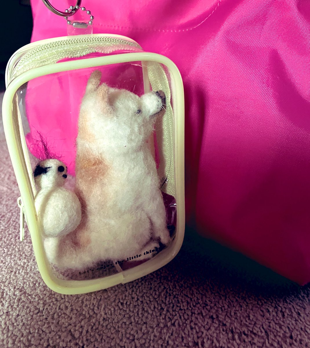 s i m u / ココロの調整中 tweet media