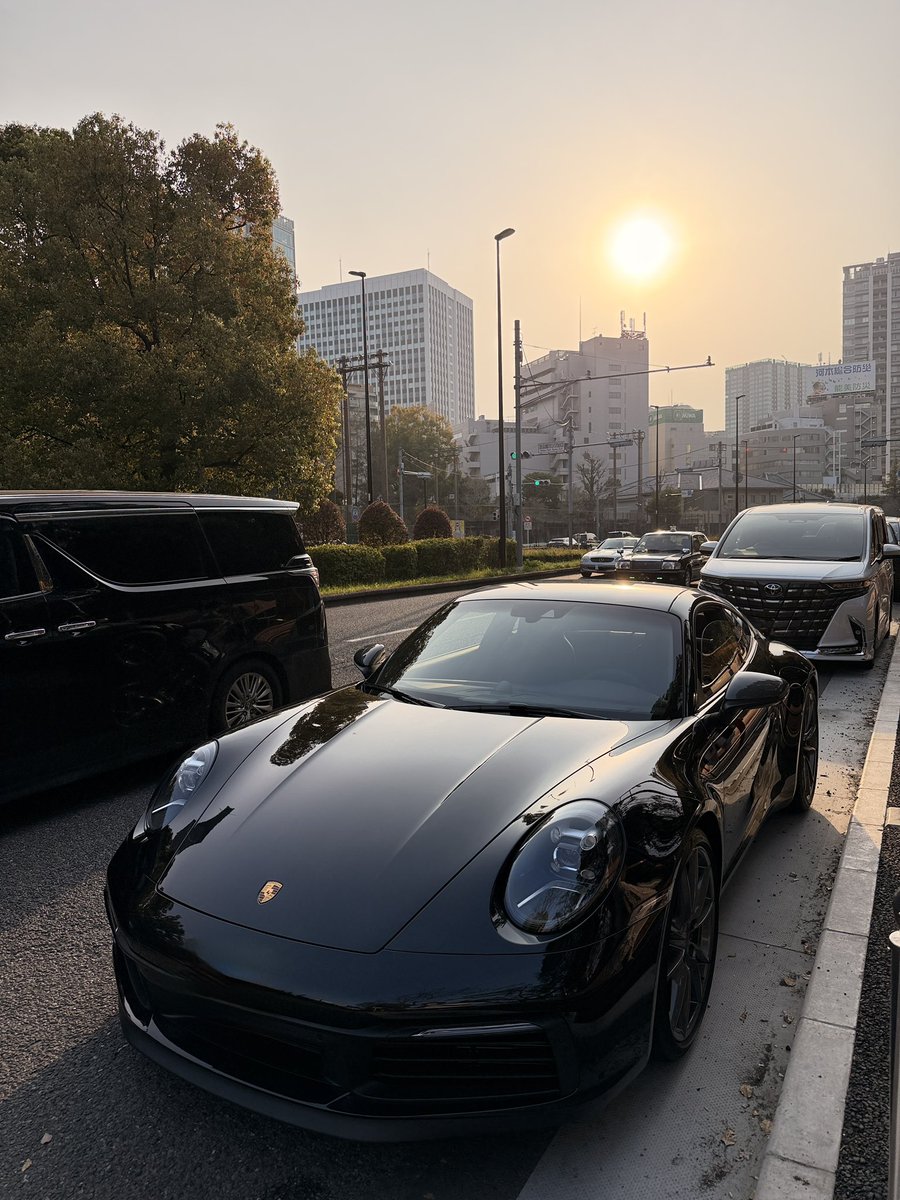 とんできたむくどり tweet media