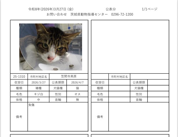 茨城県動物指導センターで保護している、迷子の犬猫の公表情報です。🐕🐈
お心当たりの飼い主様は動物指導センターにお電話ください‼️
動物指導センター
☎︎0296-72-1200(受付時間：平日8:30〜17:15)

3月27日（金）公表情報