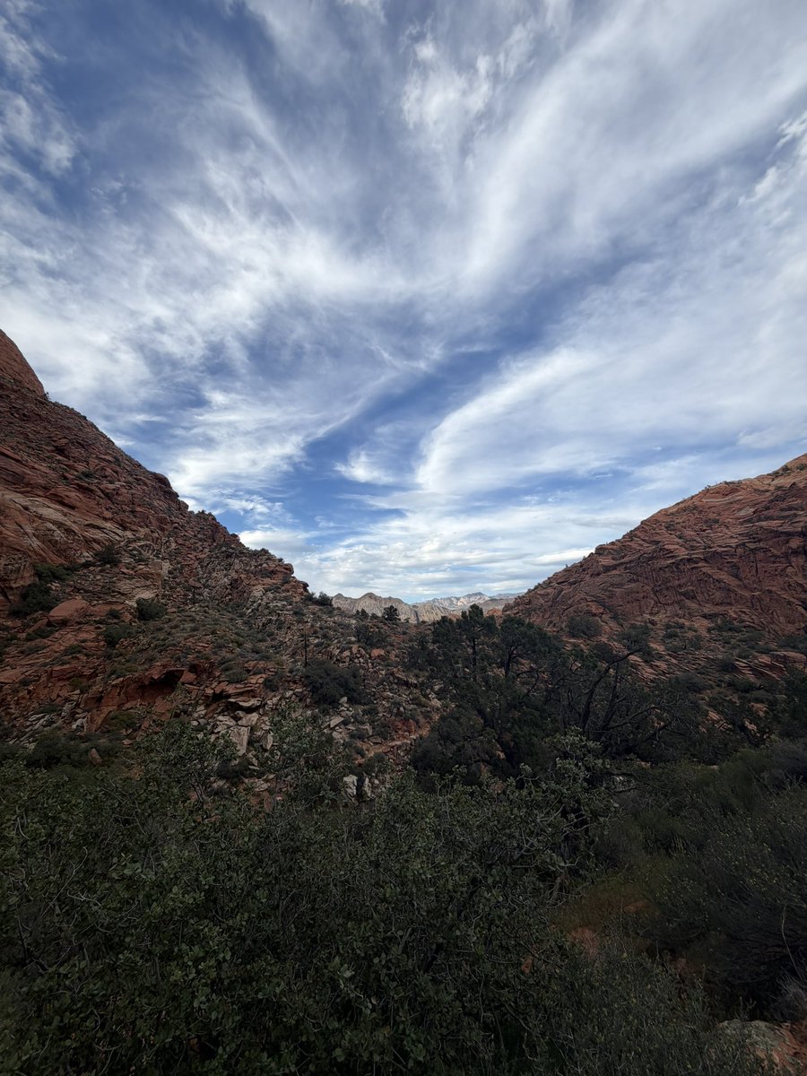 roughdeer tweet media