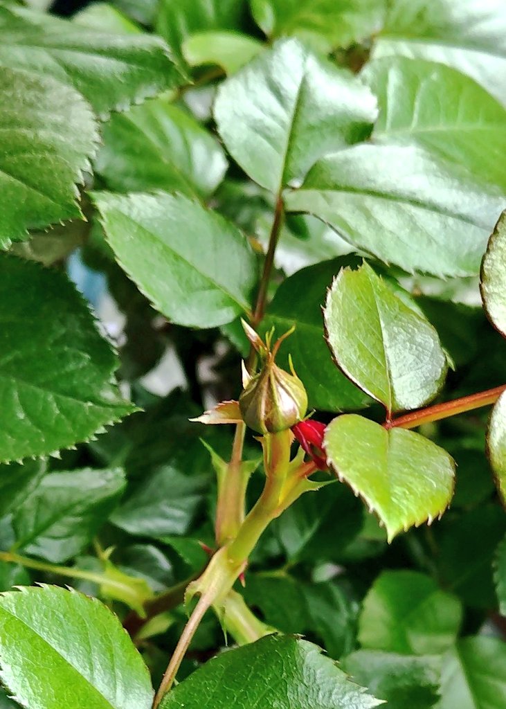 やまちゃ tweet media