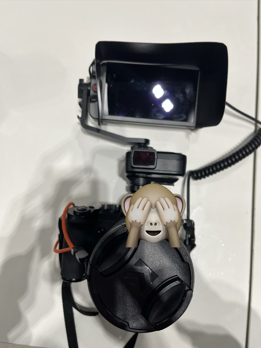 弟子 tweet media