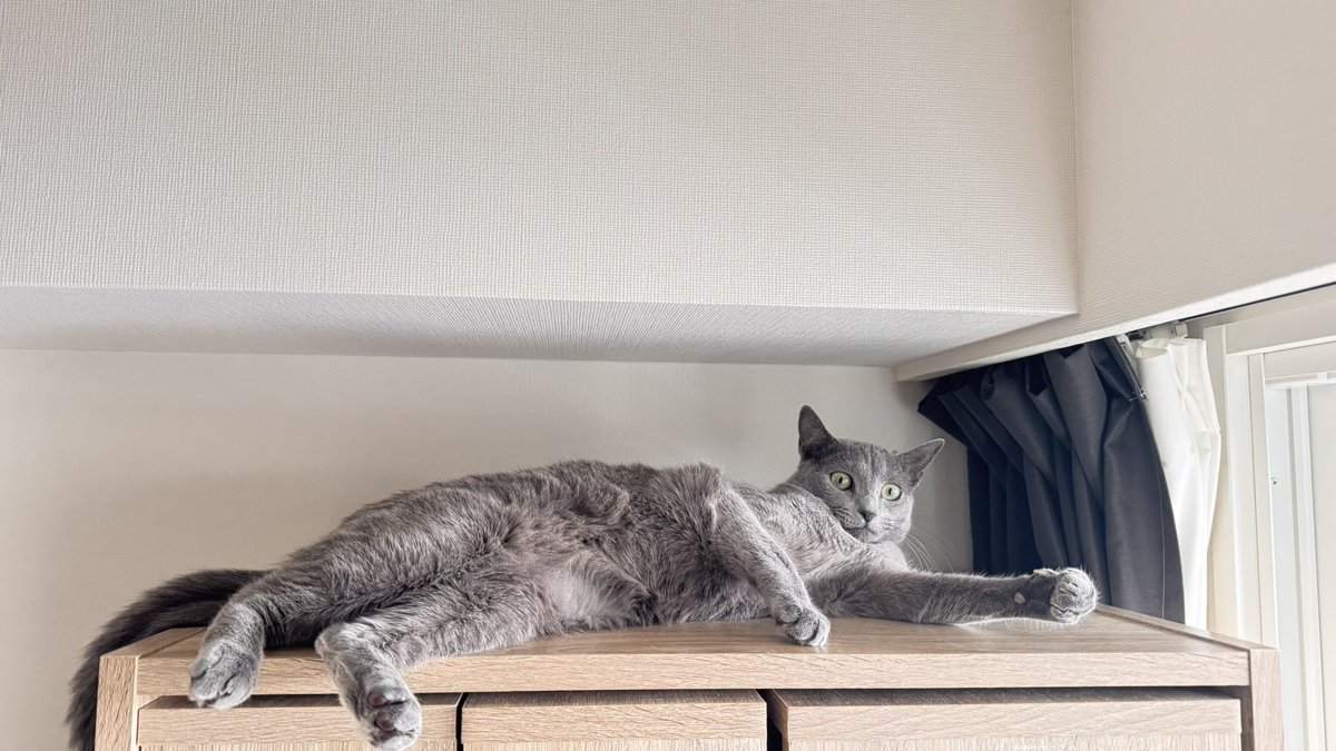 ﾊﾟﾈﾀﾞ tweet media