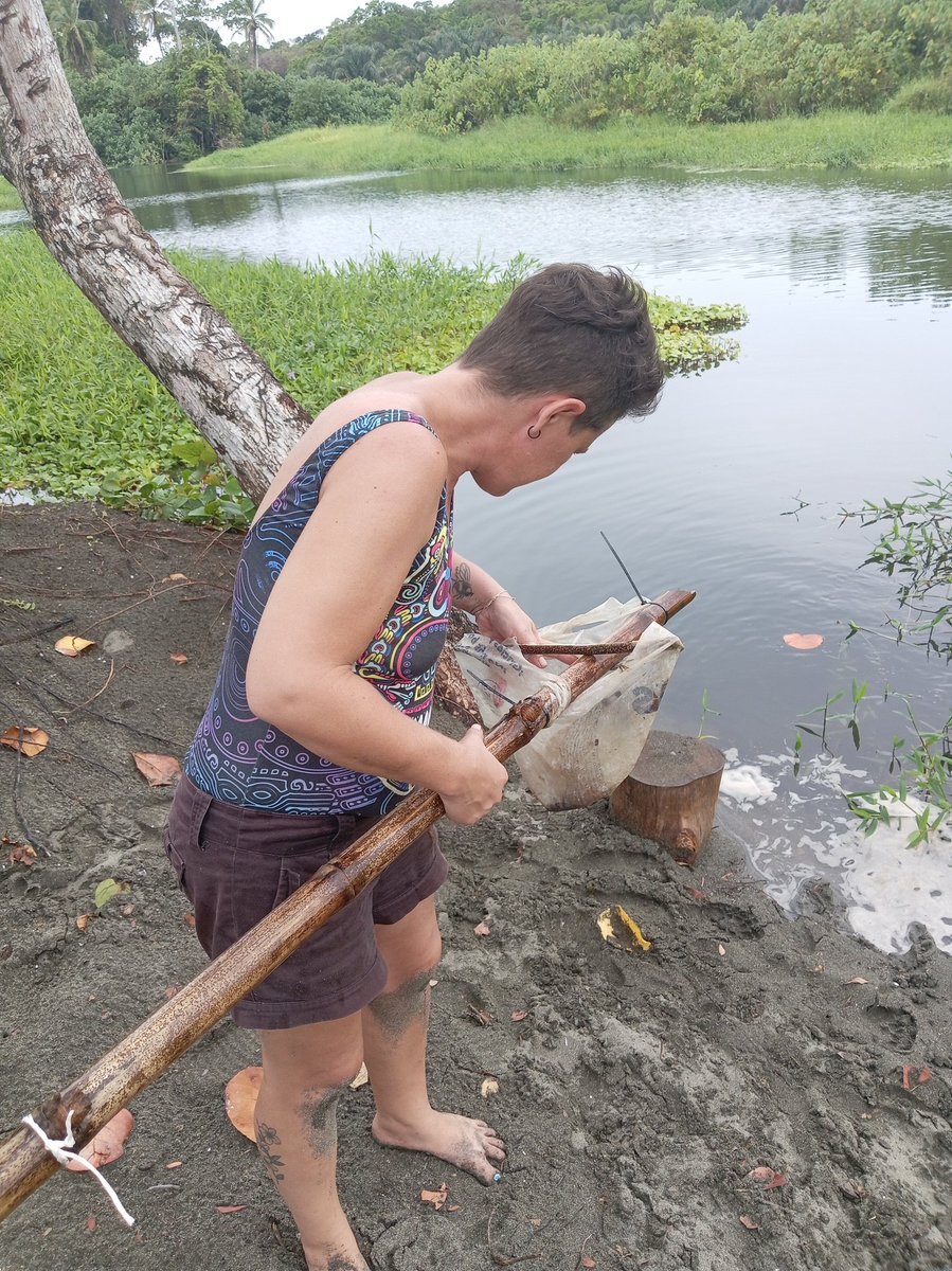 SmokinLove₿ill🌴🐒🍺🟠🥓🥩🍖🍗 tweet media