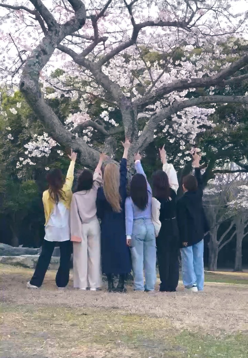 Mari_まあ¨̮☾すきなものすきなだけ tweet media