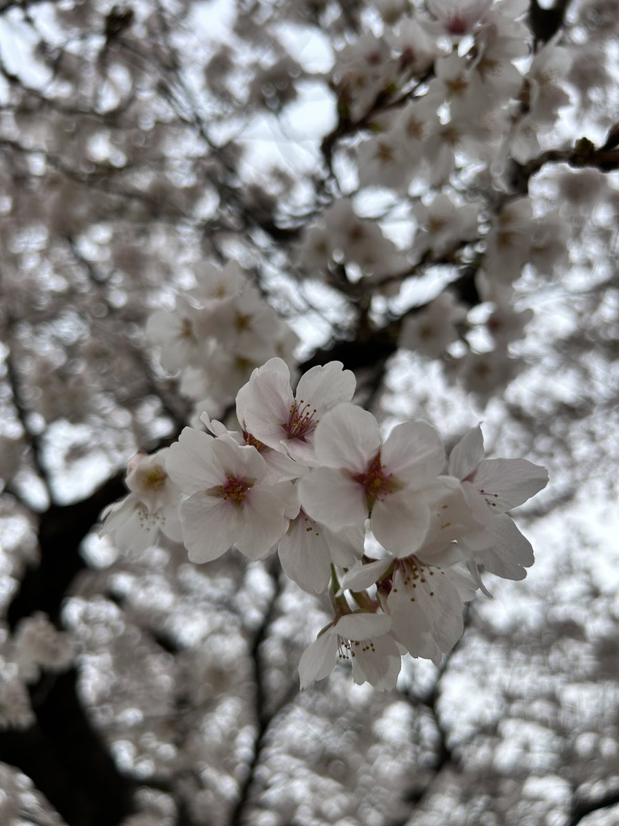 지리(地理)로🌏 tweet media