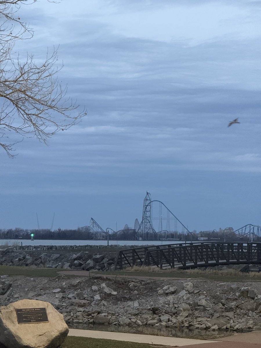 hawkvandelay tweet media