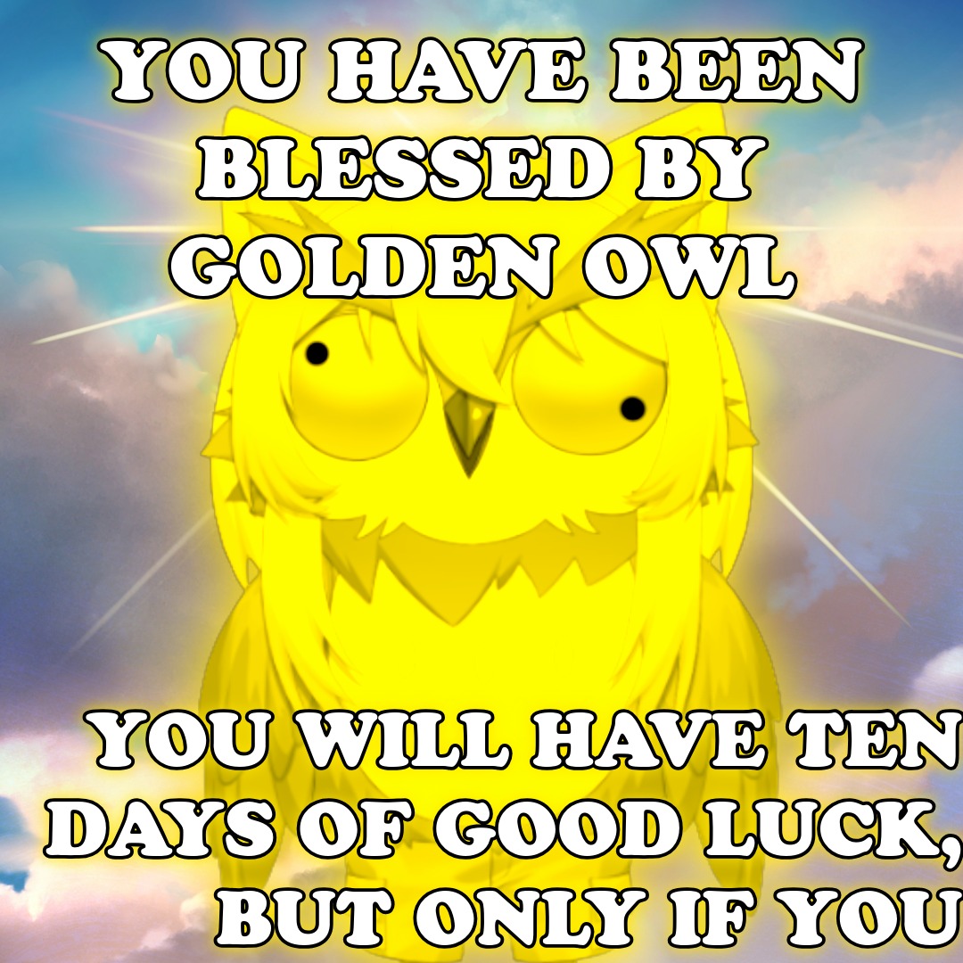 AngryOwlCat tweet media