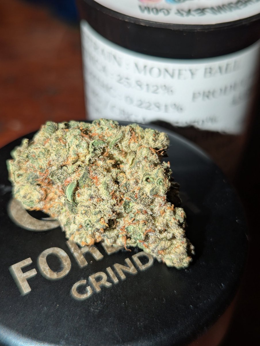 ₭₳iⱠɆⱫᵗᵍ tweet media