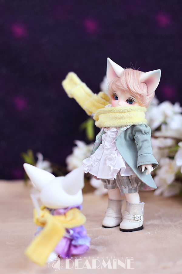 DearMine 디어마인 tweet media