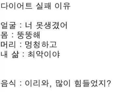 돌아온지지 tweet media