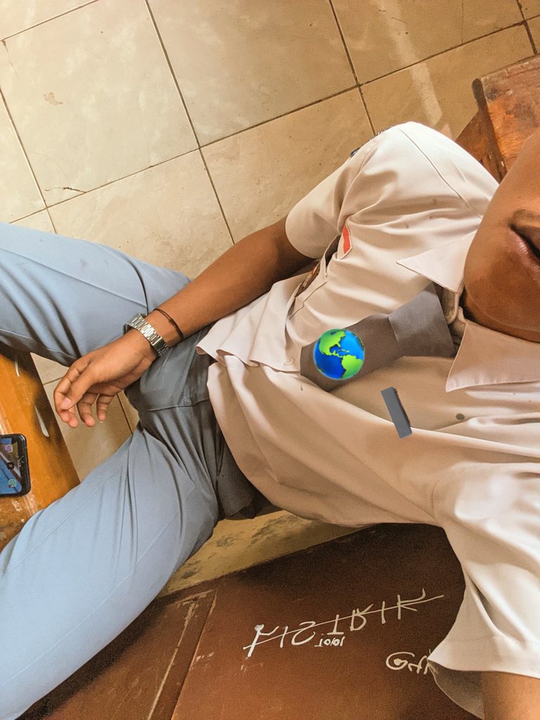 malle🐊 tweet media