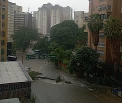 Servicio de Información Pública tweet media