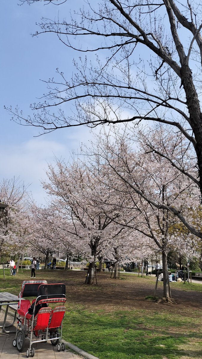 アルール@Utako tweet media